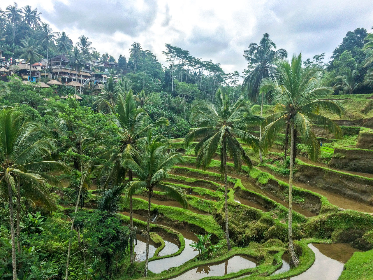 Bali Ubud