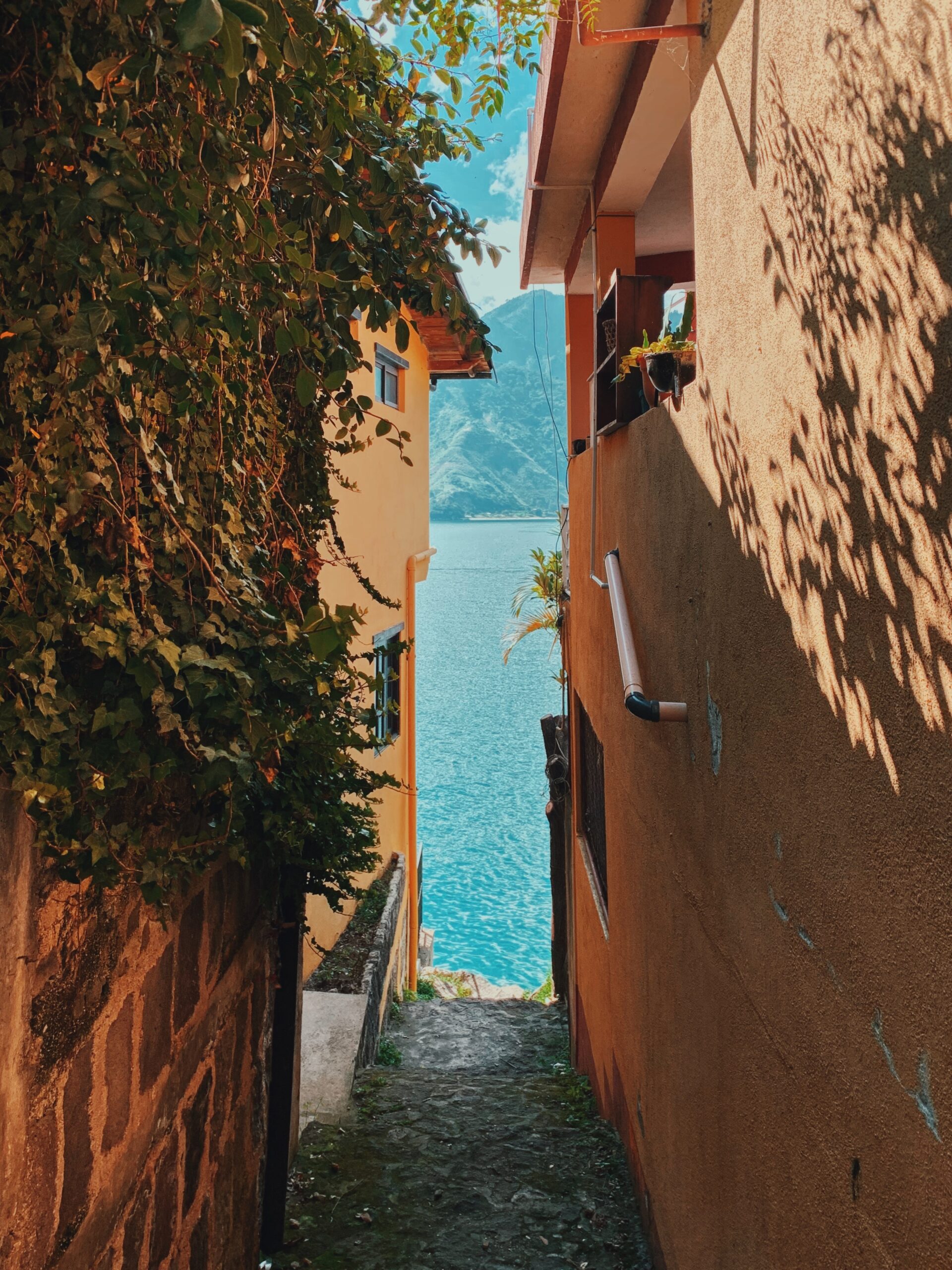 Древние пирамиды майя в Тикале